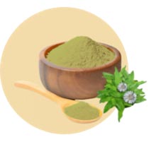 Bhringraj